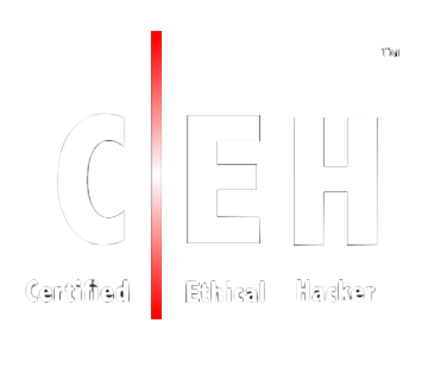 Certified Ethical Hacker
